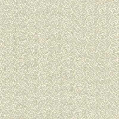 Kasmir Seedling 55 SHADOW          